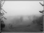 foto Colline di Romano d'Ezzelino nella Nebbia